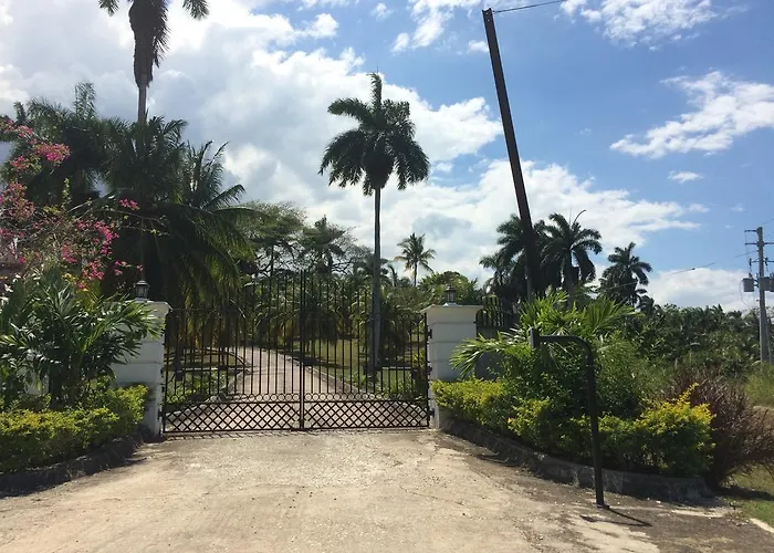 Fairly Estate Pensión Montego Bay